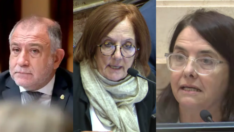 Reforma laboral cómo votaron y qué dijeron los senadores de Córdoba