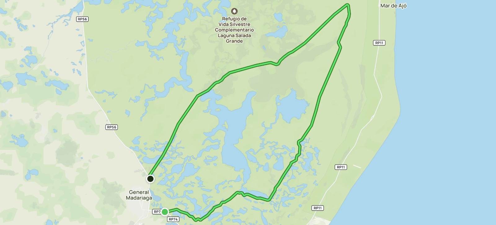 Senasa advierte sobre un nuevo caso de gripe aviar