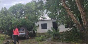 Asisten a las localidades del sudeste afectadas por un temporal Asisten a las localidades del sudeste afectadas por un temporal