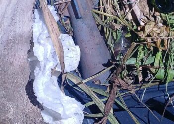 La policía halló una bomba de la Fuerza Aérea y detuvo a un joven armado