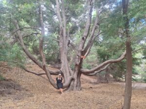 Una experiencia de desconexión tecnológica entre playa y bosque 