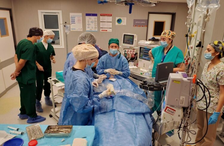 El Nuevo Hospital San Roque realizó por primera vez en el sistema público provincial una ablación por microondas para tratar un nódulo tiroideo benigno, una técnica ambulatoria que evita cirugía, cicatrices e internación.