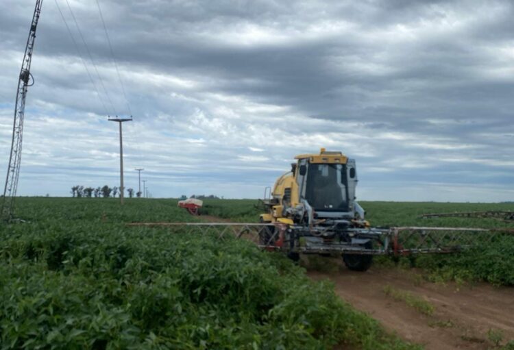 Un hombre murió tras recibir una descarga eléctrica en un campo Según se investiga, la maquinaria que operaba tocó cables de alta tensión y el trabajador murió tras recibir una descarga eléctrica.