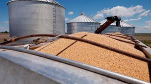 En el agro la liquidación de divisas creció 82% y alcanzó los 1.850 millones de dólares En el agro la liquidación de divisas creció 82% y alcanzó los 1.850 millones de dólares