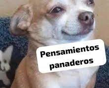 Tormentas y lluvias intensas para la jornada de hoy Córdoba tendrá una jornada inestable con lluvias débiles y alta humedad