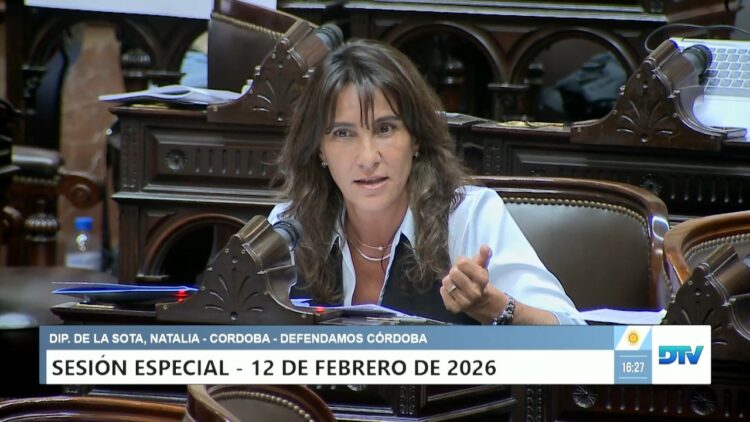 Fuerte advertencia de Natalia de la Sota y tensión en el Congreso Natalia de la Sota cuestionó el proyecto oficial de Reforma Penal Juvenil y advirtió que, sin políticas de prevención social, podría profundizarse la tendencia a reducir aún más la edad de imputabilidad en Argentina.