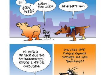 Sobre la Universidad y el magisterio