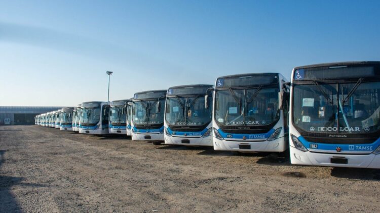 La Municipalidad de Córdoba incorporó más colectivos al corredor 2 dentro del Plan de Contingencia para mejorar las frecuencias del transporte urbano en la ciudad de Córdoba, mientras el servicio continúa gratuito en varias líneas.