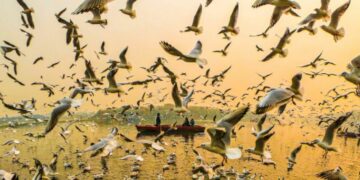 La UNESCO lanzó “Capturar el futuro”, una convocatoria global que invita a jóvenes a narrar, a través de imágenes y videos, la relación entre las personas y la naturaleza en reservas de biosfera.