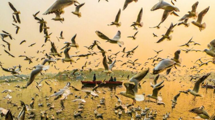 La UNESCO lanzó “Capturar el futuro”, una convocatoria global que invita a jóvenes a narrar, a través de imágenes y videos, la relación entre las personas y la naturaleza en reservas de biosfera.