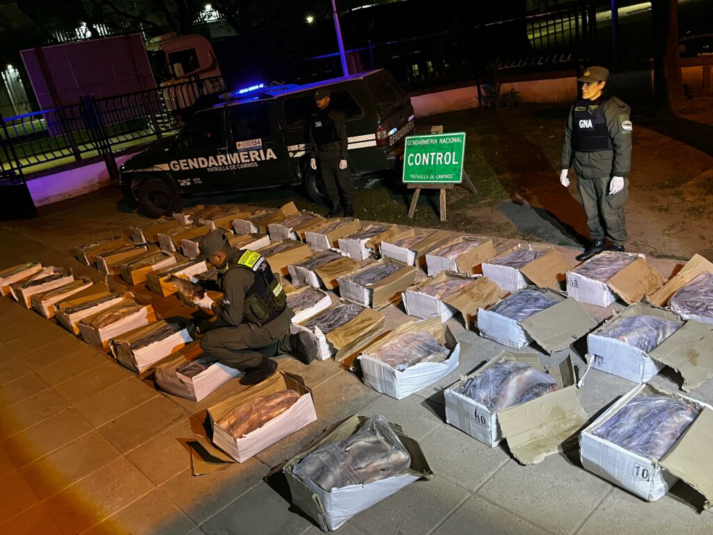 Detectaron un camión que transportaba una tonelada de pescado sin las condiciones sanitarias necesarias