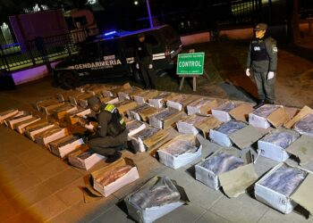 Detectaron un camión que transportaba una tonelada de pescado sin las condiciones sanitarias necesarias