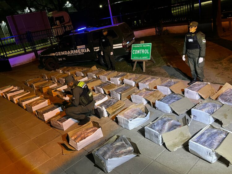 Entre una carga de verduras, había 41 cajas que contenían ejemplares de sábalo sin respetar la pertinente cadena de frío.