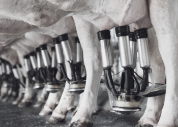 La empresa Sudamericana Lácteos de Santa Fe, confirmó que se encuentra al borde del cierre, una situación que pondría en riesgo los 80 puestos de trabajo que dependen de la firma.