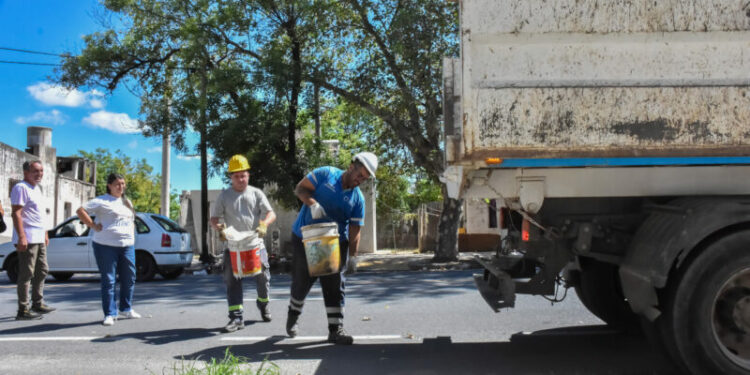 Cronograma semanal del operativo contra el dengue en la ciudad Dengue
