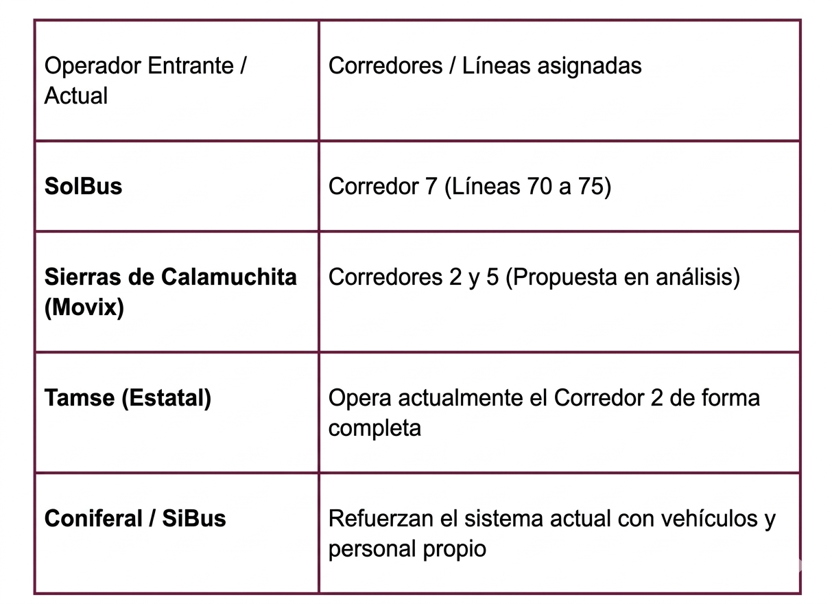 La Municipalidad adelantó una posible fecha para la normalización del sistema de transporte La Municipalidad adelantó una posible fecha para la normalización del sistema de transporte