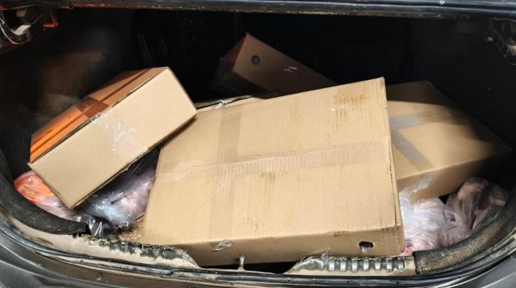 Detuvieron a un hombre en Morteros por la presunta sustracción de carne de un frigorífico Detuvieron a un hombre en Morteros por la presunta sustracción de carne de un frigorífico