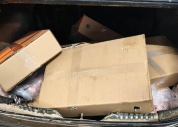 Detuvieron a un hombre en Morteros por la presunta sustracción de carne de un frigorífico