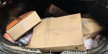 Detuvieron a un hombre en Morteros por la presunta sustracción de carne de un frigorífico