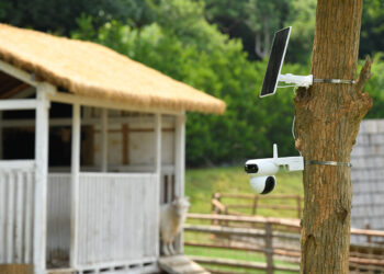 Nuevas cámaras totalmente autónomas.