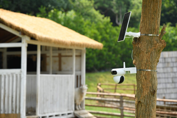 Nuevas cámaras totalmente autónomas.
