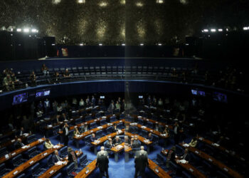 El Senado de Brasil dio media sanción a una ley que equipara la misoginia al racismo