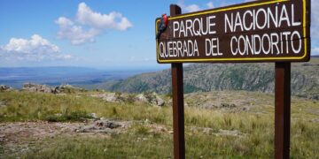 El piloto que provocó daño ambiental en la Quebrada del Condorito "pagó" con zapatillas El piloto que provocó daño ambiental en la Quebrada del Condorito «pagó» con zapatillas