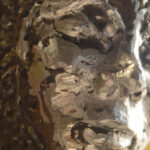 El Museo de las Mujeres celebra 15 años de "romper el cristal"