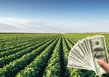 “Un campo bueno se vende en menos de un mes”: crece la demanda de tierras rurales