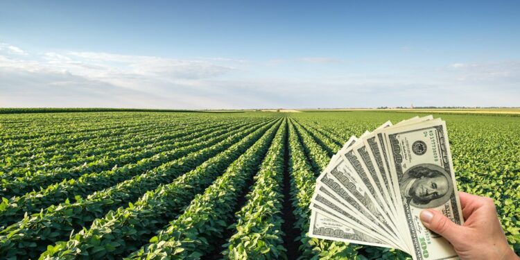 “Un campo bueno se vende en menos de un mes”: crece la demanda de tierras rurales
