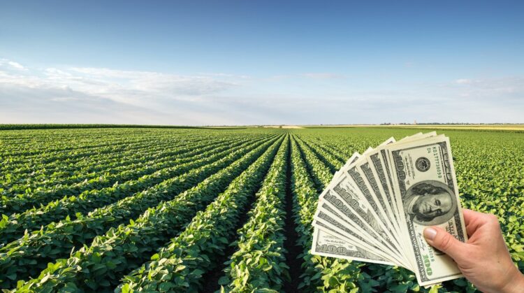 “Un campo bueno se vende en menos de un mes”: crece la demanda de tierras rurales