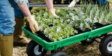 Generar trabajo con el ambientalismo Generar trabajo con el ambientalismo
