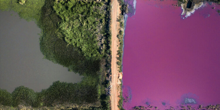 Calamuchita FotoDoc 2026: más de 80 obras de fotografía y cine documental llegan a Córdoba