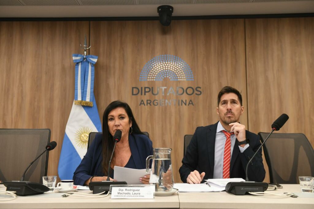 La Cámara Baja busca endurecer las penas para los homicidios viales