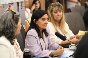 La Cámara Baja busca endurecer las penas para los homicidios viales