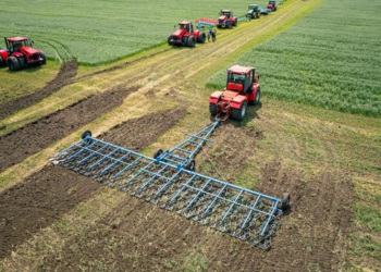 Actividad económica