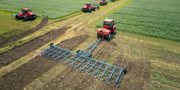 Actividad económica