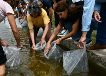 La actividad se realizó en el marco del proceso de puesta en valor y recuperación productiva de la Estación de Piscicultura de Embalse.