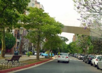 Cortes de tránsito en Ciudad Universitaria por la maratón “La Milla Argentina”