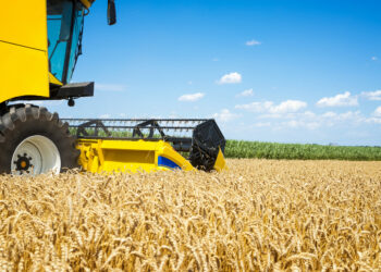 Rosario será sede del Mundial de la Soja, el mayor encuentro científico global del cultivo