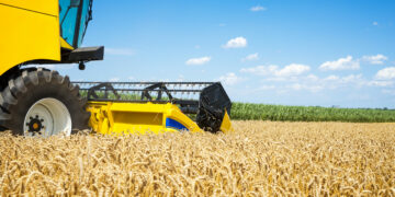 Rosario será sede del Mundial de la Soja, el mayor encuentro científico global del cultivo