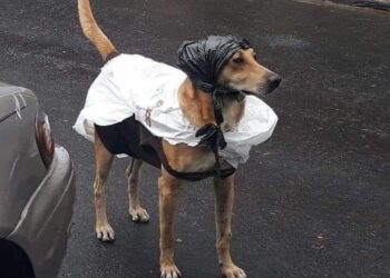 Tormentas aisladas y descenso de temperatura marcarán la jornada en Córdoba