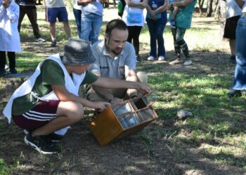 Liberan más de 60 animales silvestres rescatados del cautiverio