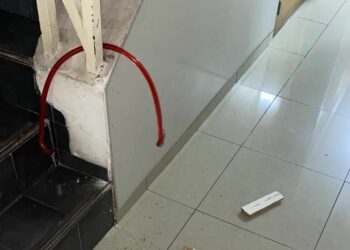 El ladrón ingresó tras violentar la entrada y se llevó una bicicleta durante la madrugada.