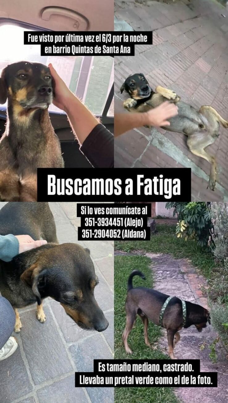 Desapareció Fatiga, acompañante terapéutico y guardián de la cuadra