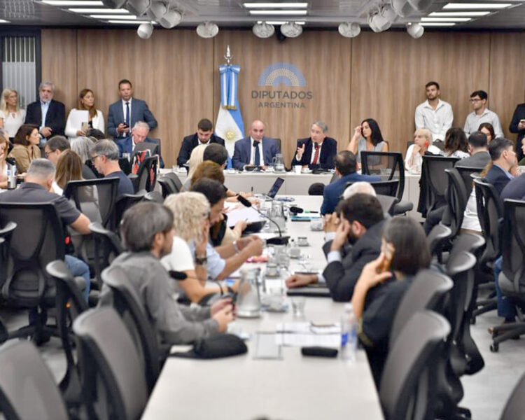 Habrá audiencia pública por la La Ley de Glaciares.