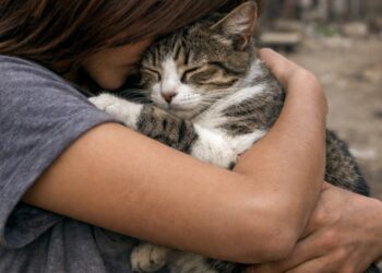La adolescente disfruta del colegio y actividades manuales; necesita un hogar estable que la acompañe en su desarrollo.