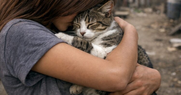Buscan una familia para adoptar a una adolescente de 16 años La adolescente disfruta del colegio y actividades manuales; necesita un hogar estable que la acompañe en su desarrollo.