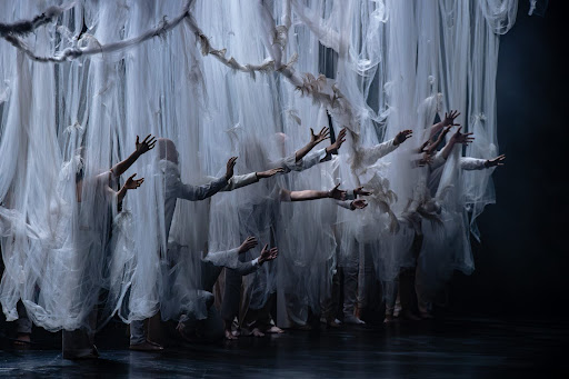 Santostefano: “Hay espectáculos donde entrás de una forma y te vas de otra. Este es uno de esos” Con 19 artistas en escena, la pieza desembarca este 6 y 7 de marzo en el Teatro Comedia tras conmover al circuito local.