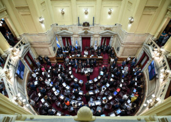 El Senado posterga el debate por las PASO y La Libertad Avanza prioriza su agenda económica y judicial